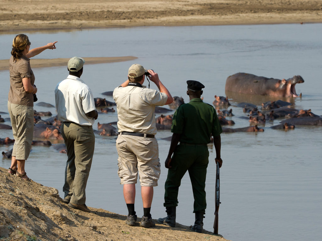 Serengeti luxury safari lodge