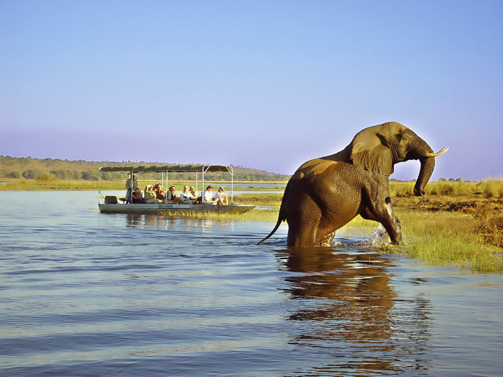 Botswana Delta Safaris