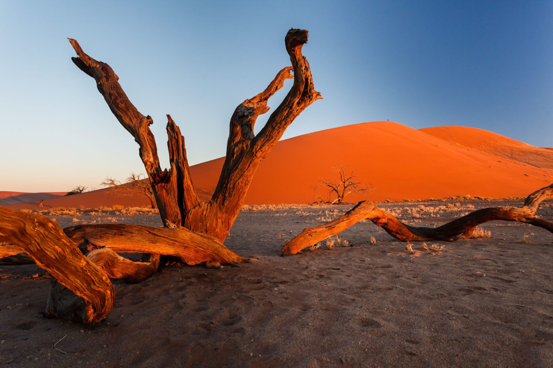 Luxury Botswana & Namibia Tour – Scenic Safari Over the Okavango Delta