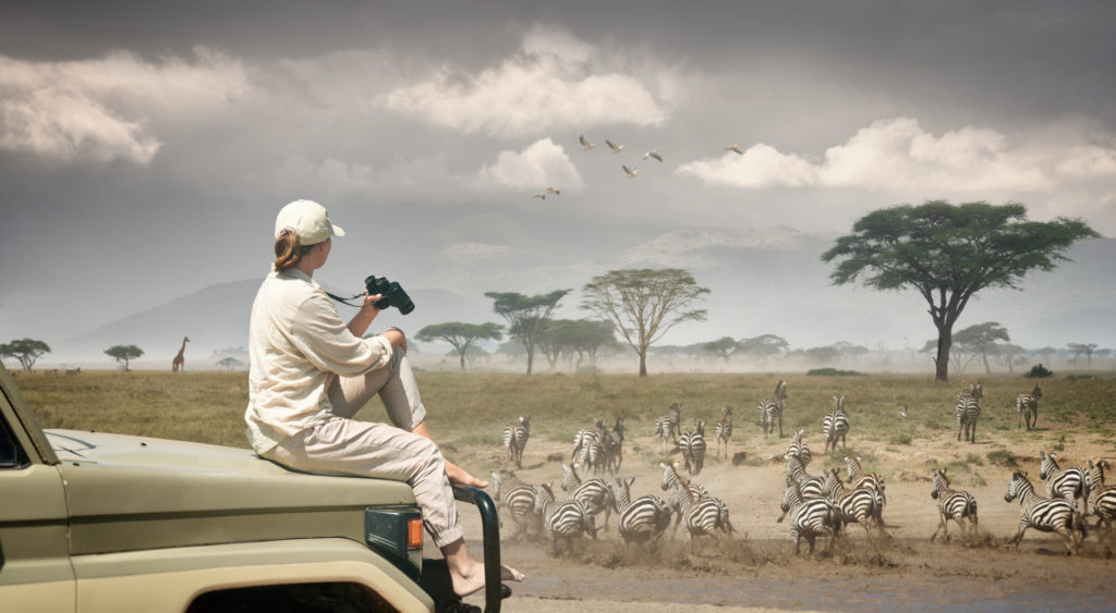 Luxury Tanzania Safari – Lake Manyara, Ngorongoro & Serengeti