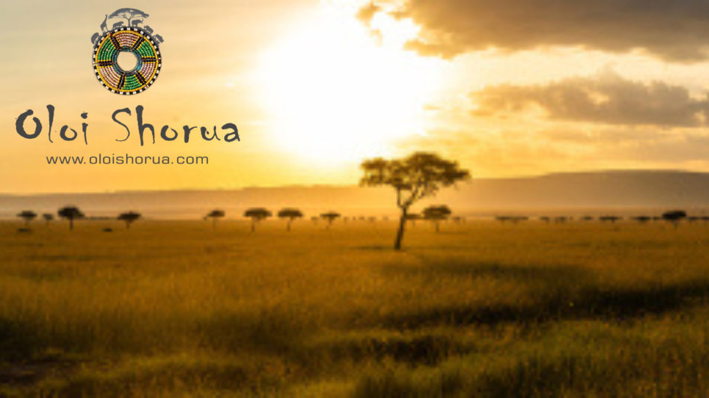 Oloi Shorua a Niche Travel Company