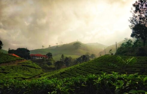 wayanad and bekal