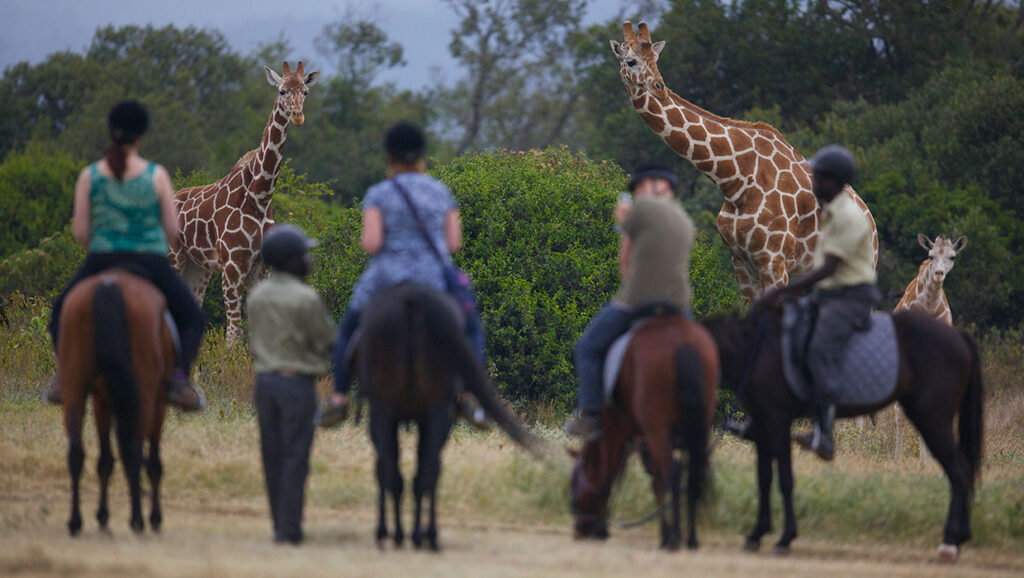 Aberdare Country Club 