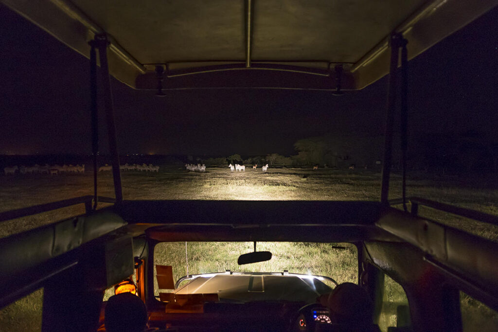 Sweetwaters Serena Camp