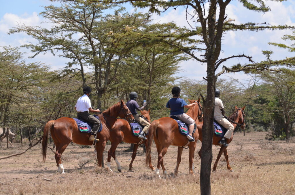 Sweetwaters Serena Camp