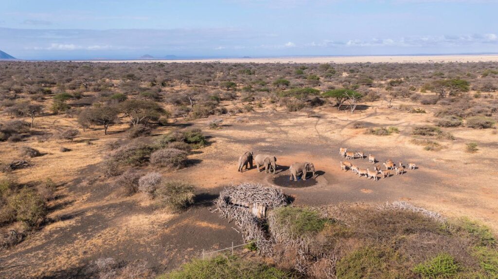 Ol Donyo Lodge Chyulu Hills Kenya