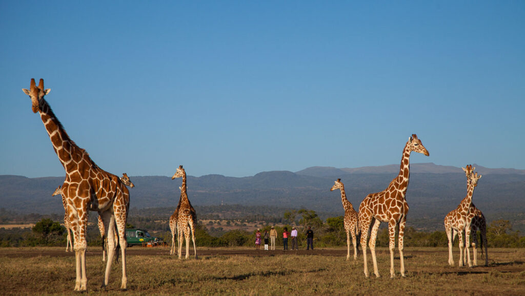 Aberdare Country Club 