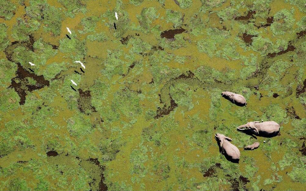 Amboseli National Park