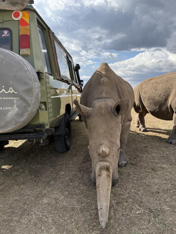 Asilia-Ol-Pejeta-Bush-Camp