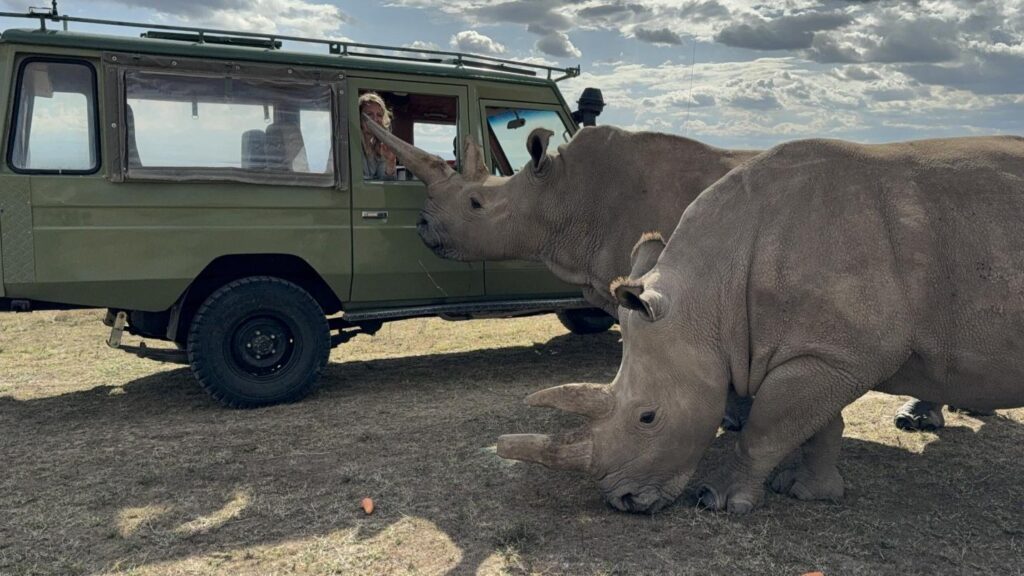 Asilia-Ol-Pejeta-Bush-Camp