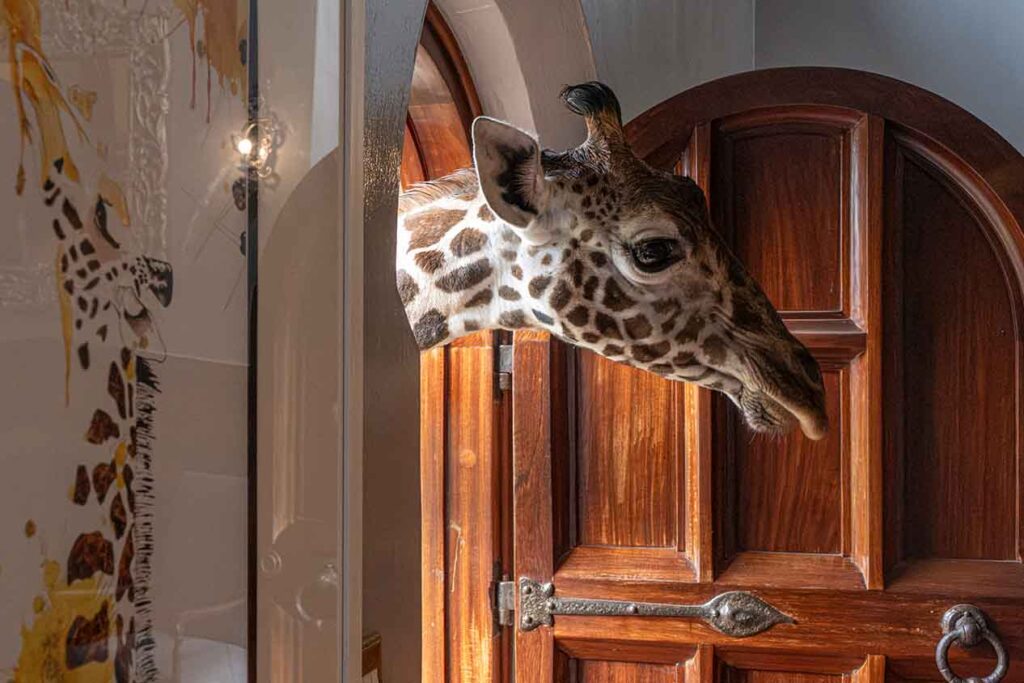 Giraffe-Manor