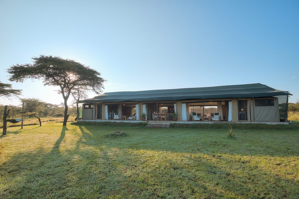 kicheche bush oloare motorogi