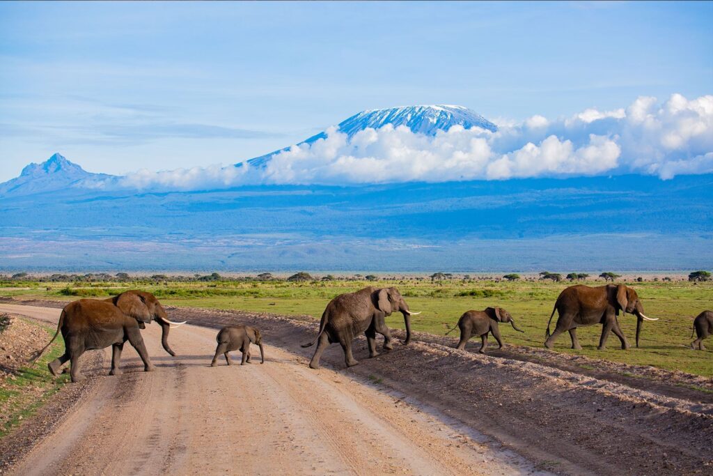 Amboseli Serena