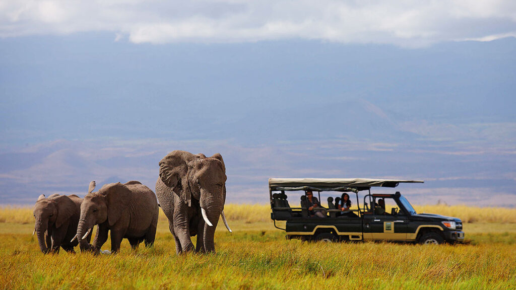 Tortilis Camp Amboseli