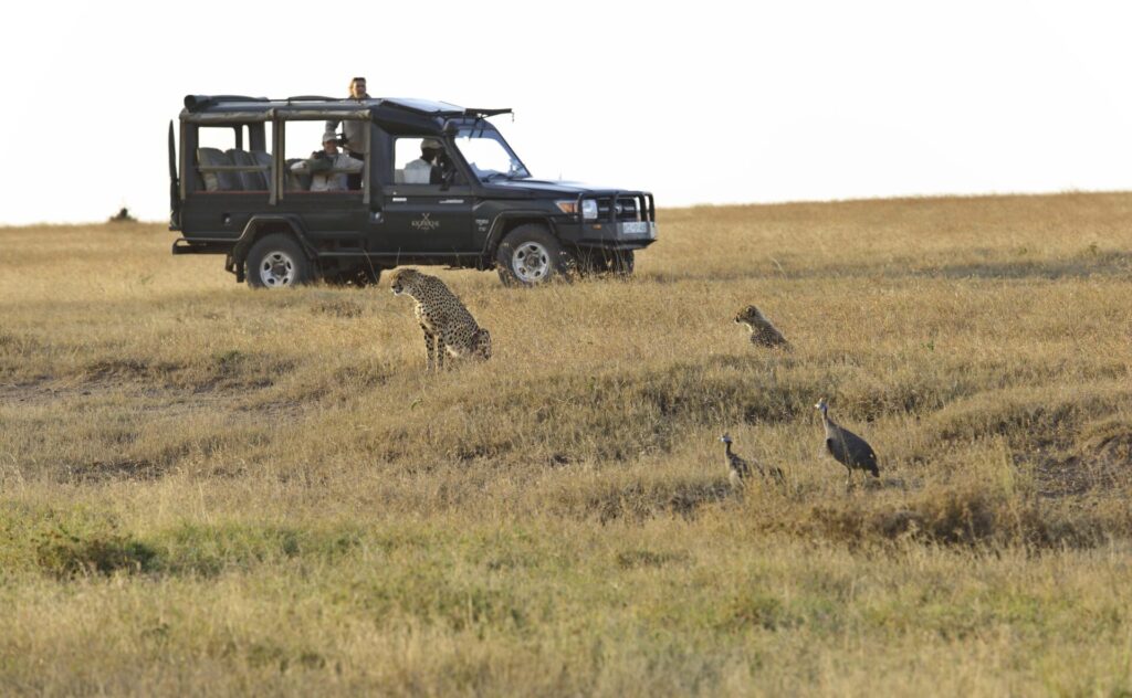 Kicheche Laikipia Camp