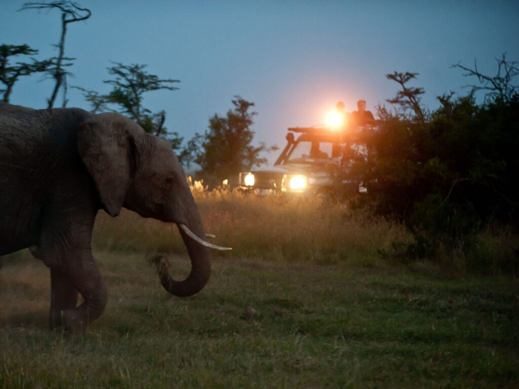 Kicheche Laikipia Camp