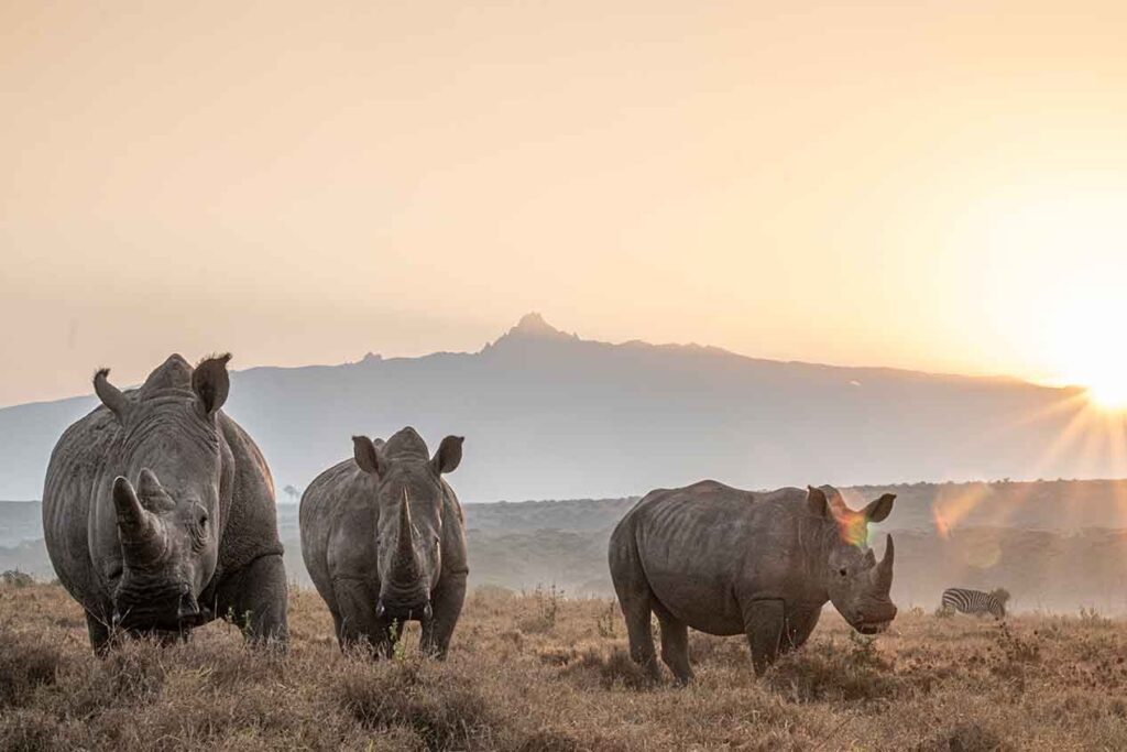 Central Highlands Safari Lodges