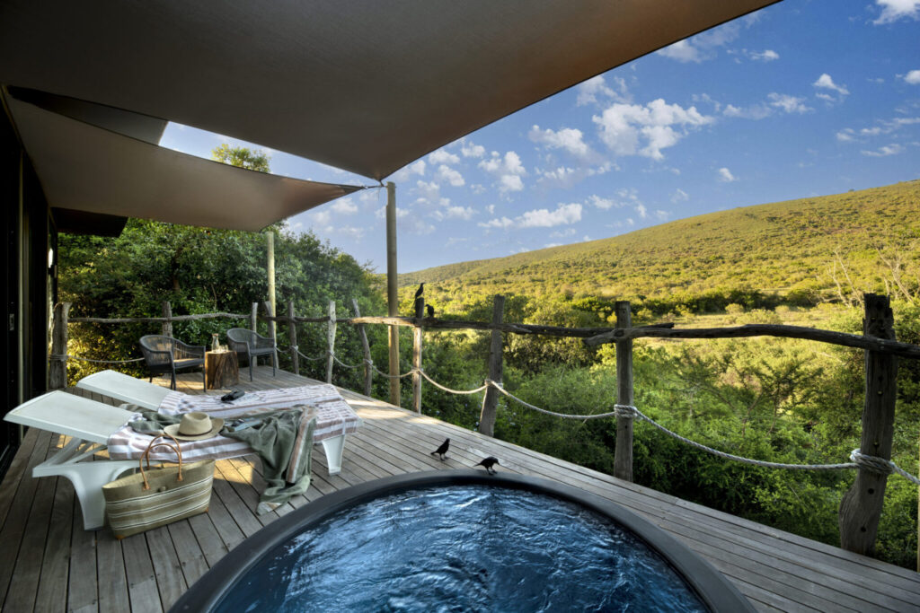 Shamwari Bayethe