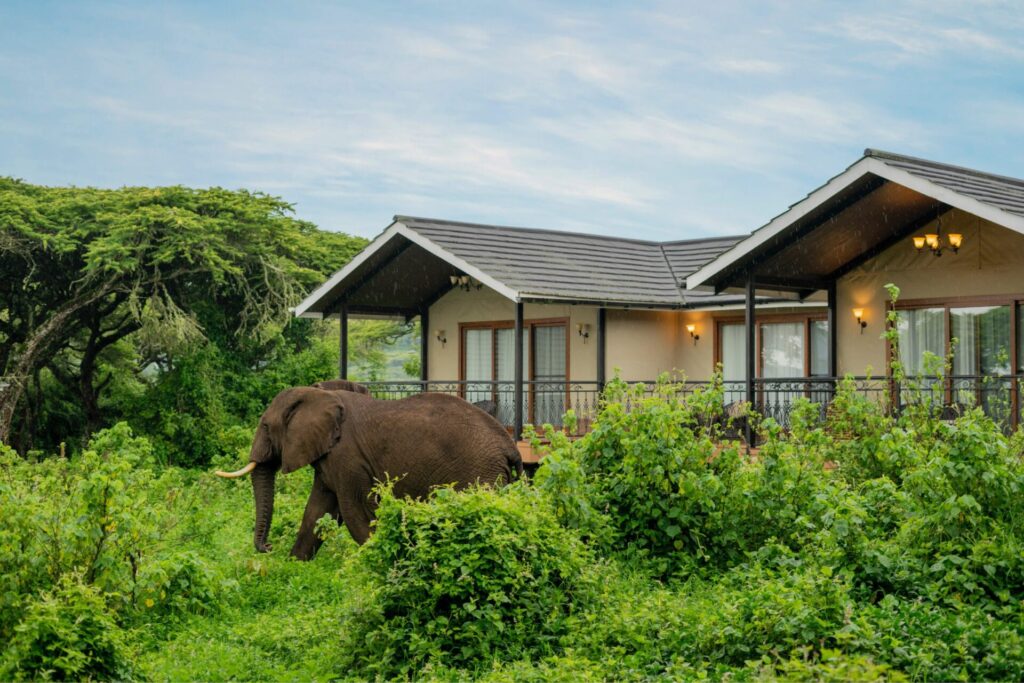 Karibu Lion's Paw Camp