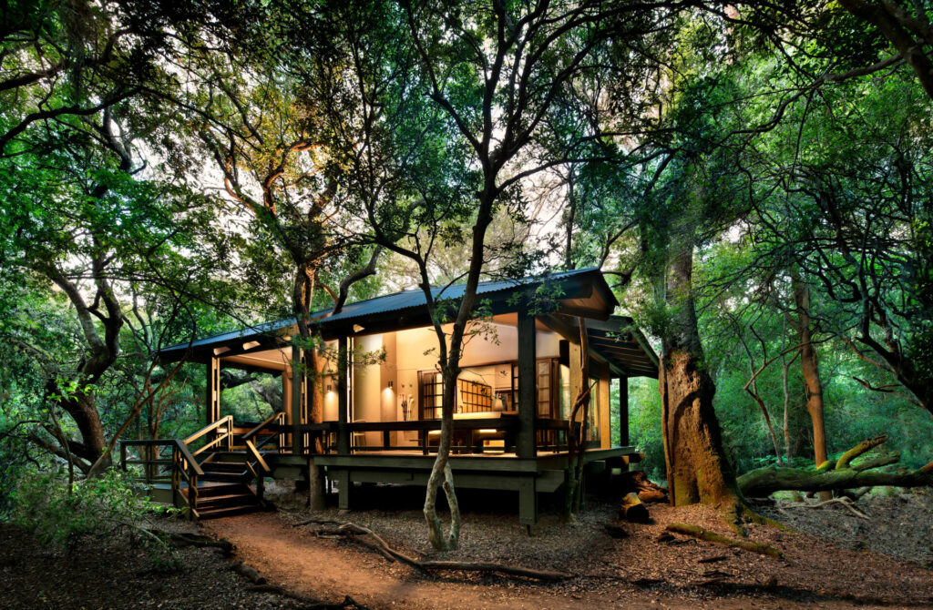 Phinda Forest Lodge