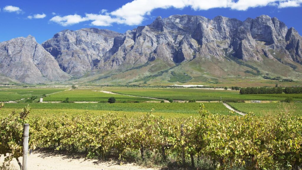 South African Winelands