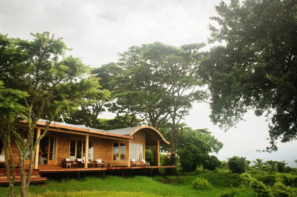 Nomad Entamanu
