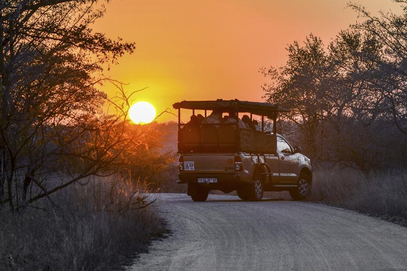 Greater Kruger and Sabi Sand