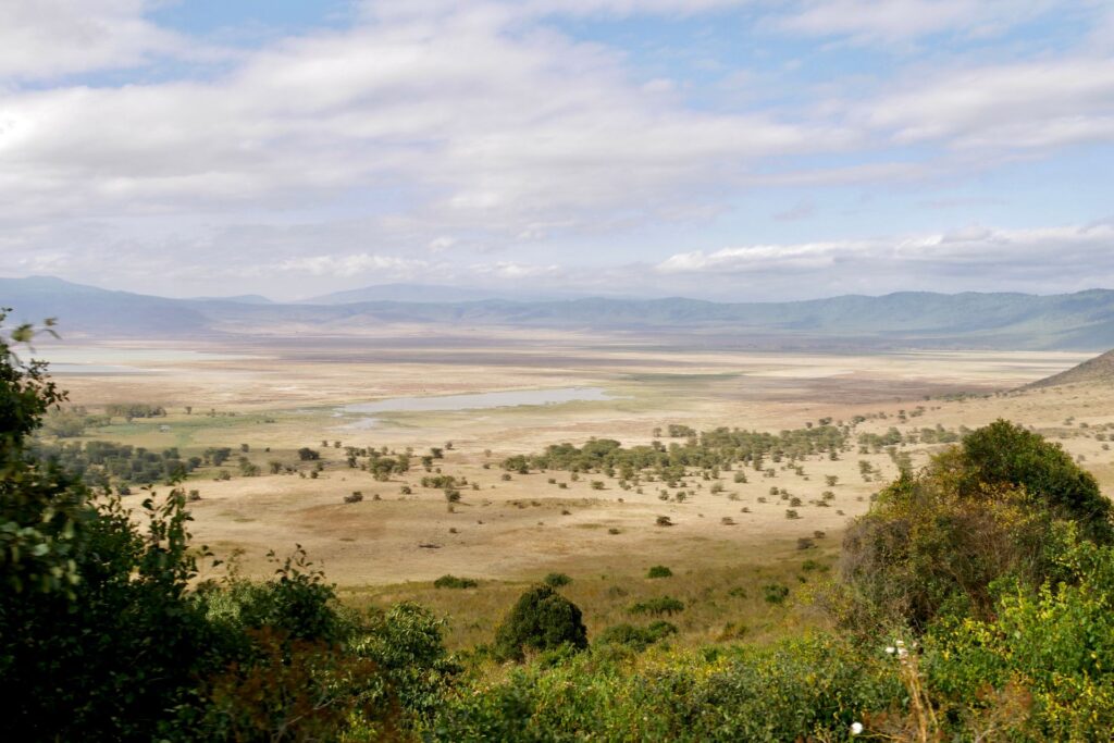 Ngorongoro Safari Lodges