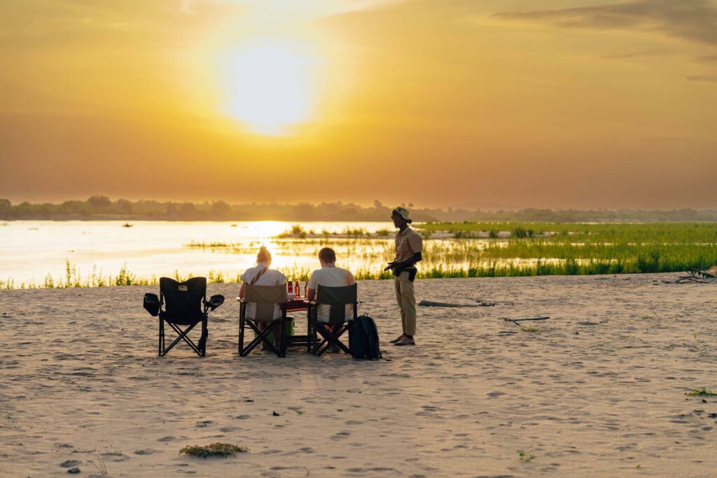 botswana safari guide