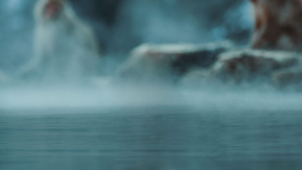 Diverse landscapes of Asia, from towering mountains to dense forests teeming with wildlife.